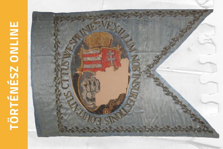 Veszprém vármegye nemesi lovas ezredének egyik század zászlaja Magyarország, Veszprém vármegye (és egykor) gr. Zichy Ferenc főispán címerével (Laczkó Dezső Múzeum – Iparművészeti Gyűjtemény ltsz. 56.11.1.)