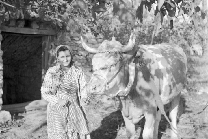 Föld napi földmunka