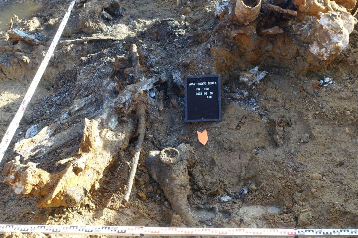 A 20 mm űrméretű MG-151 gépágyú, mellette a légcsavaragy 2023. március