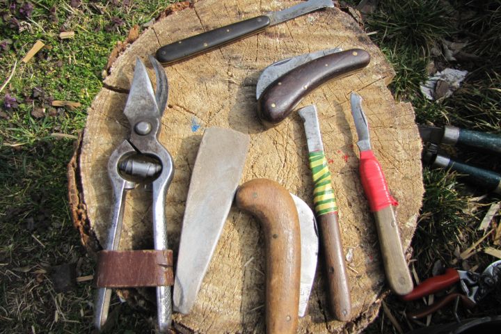 A kertész szerszámai: metszőolló, fenőkő, kacorkés, oltó- és szemzőkés.