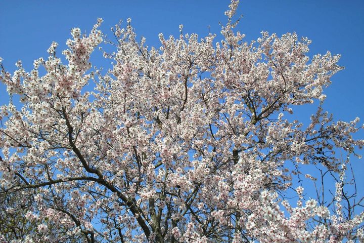 Beporzók napja a Bakonyi Házban is