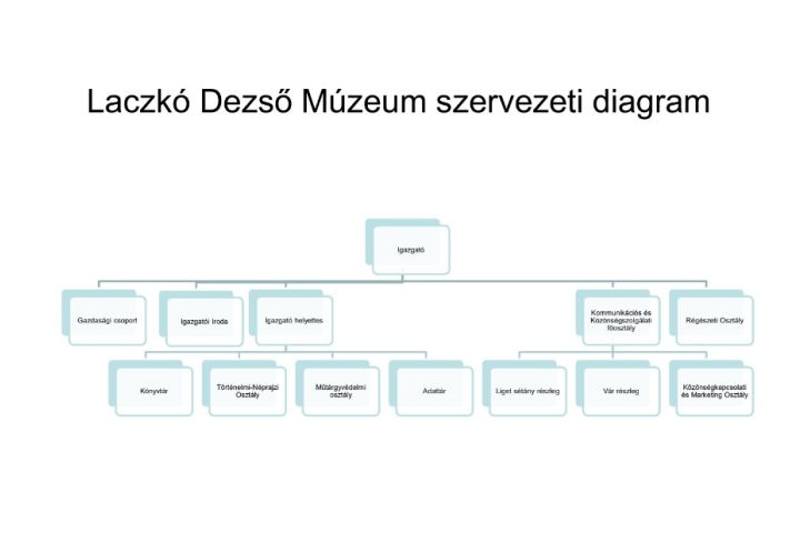 szervezeti diagram
