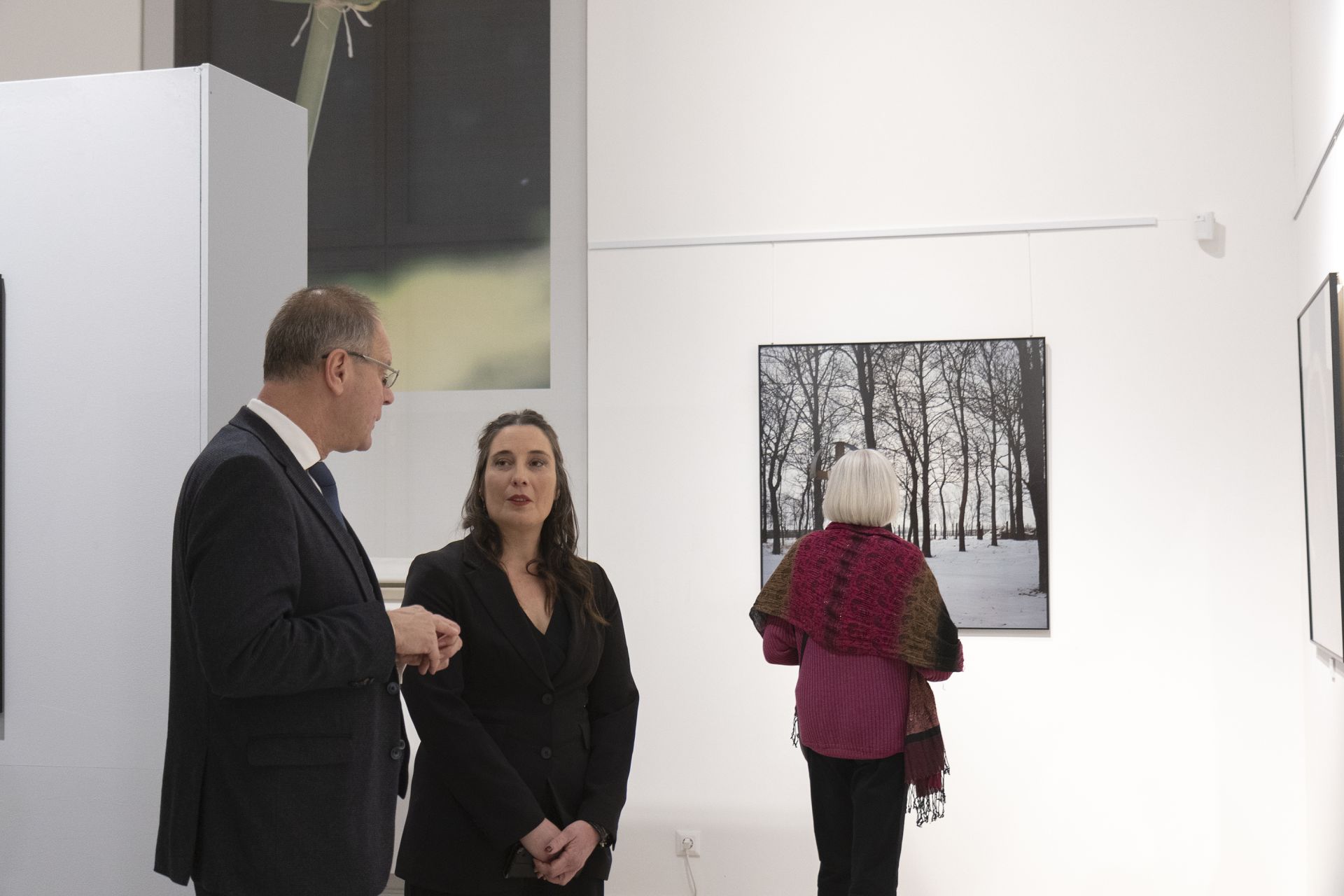 A kiállítás megtekintése 