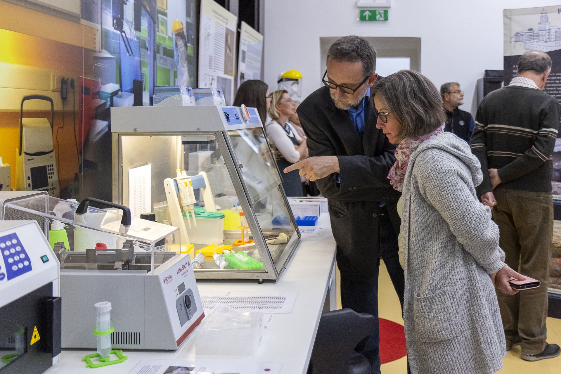 A kiállítás különlegessége 