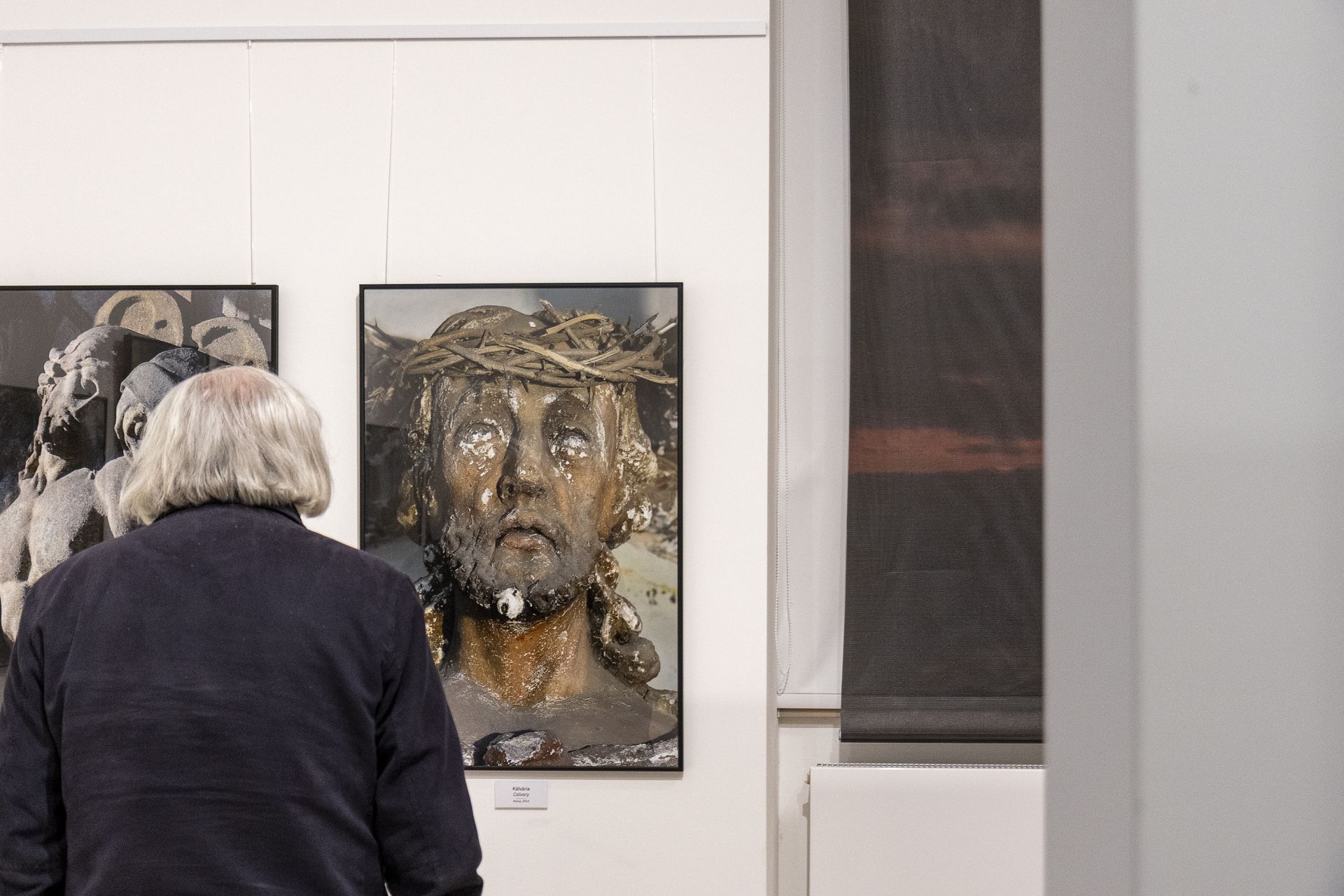 A kiállítás képei 