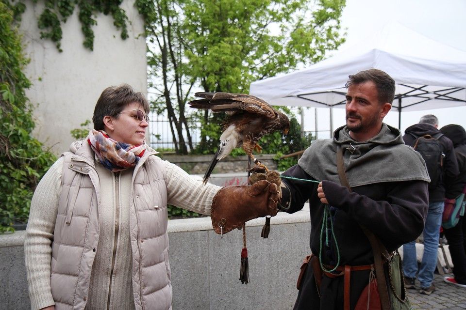Győrffy-Villám Zsombor, solymász