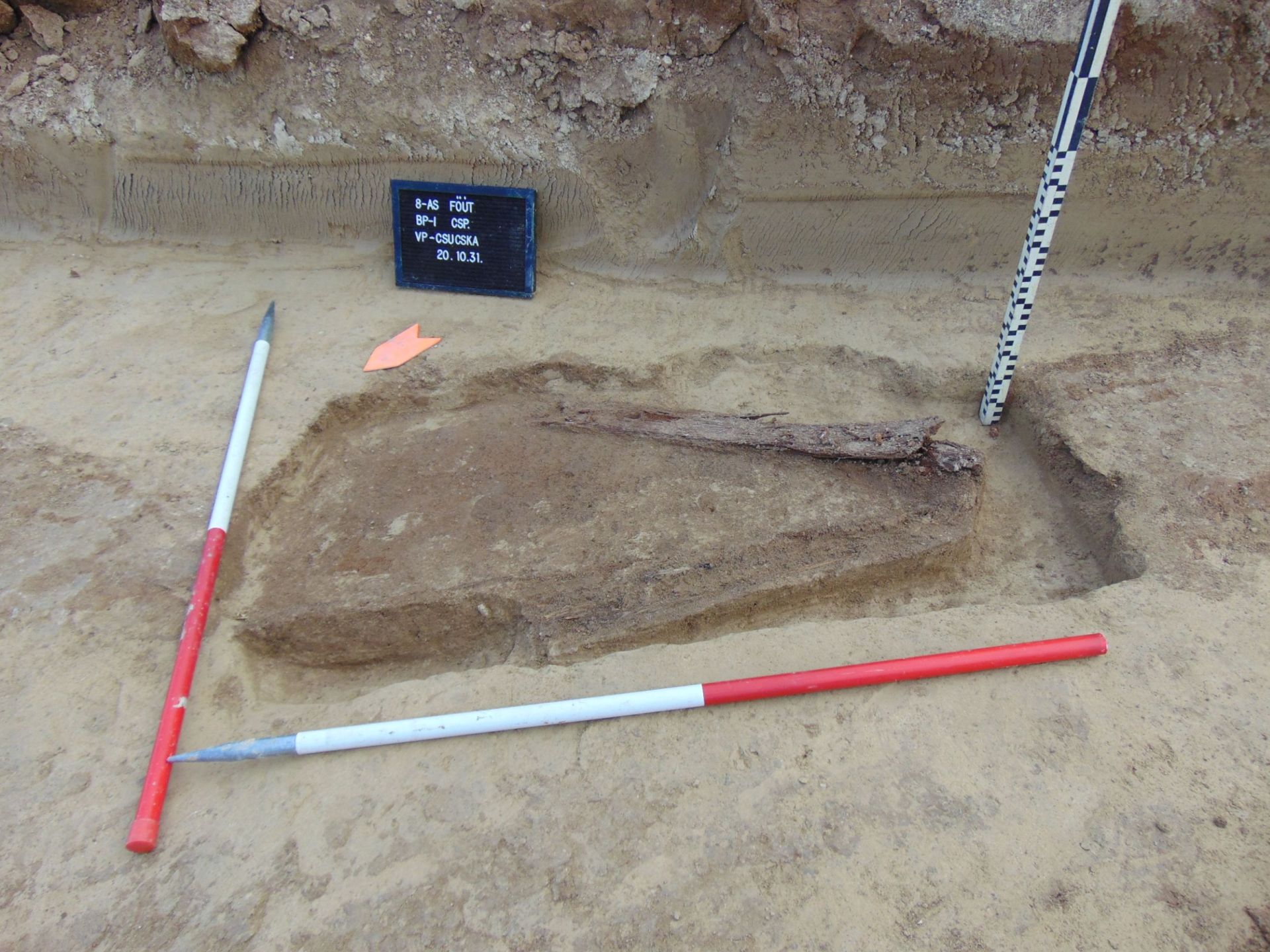 fa lőszeresláda maradvány kibontva