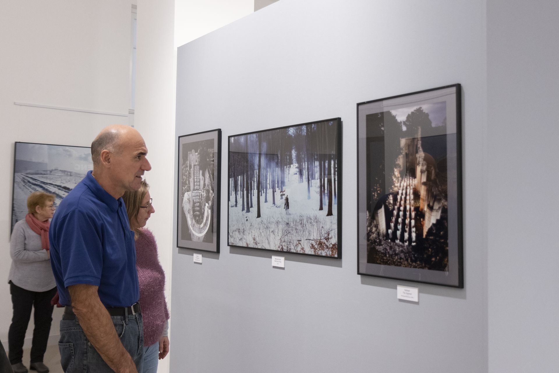 A kiállítás képei 