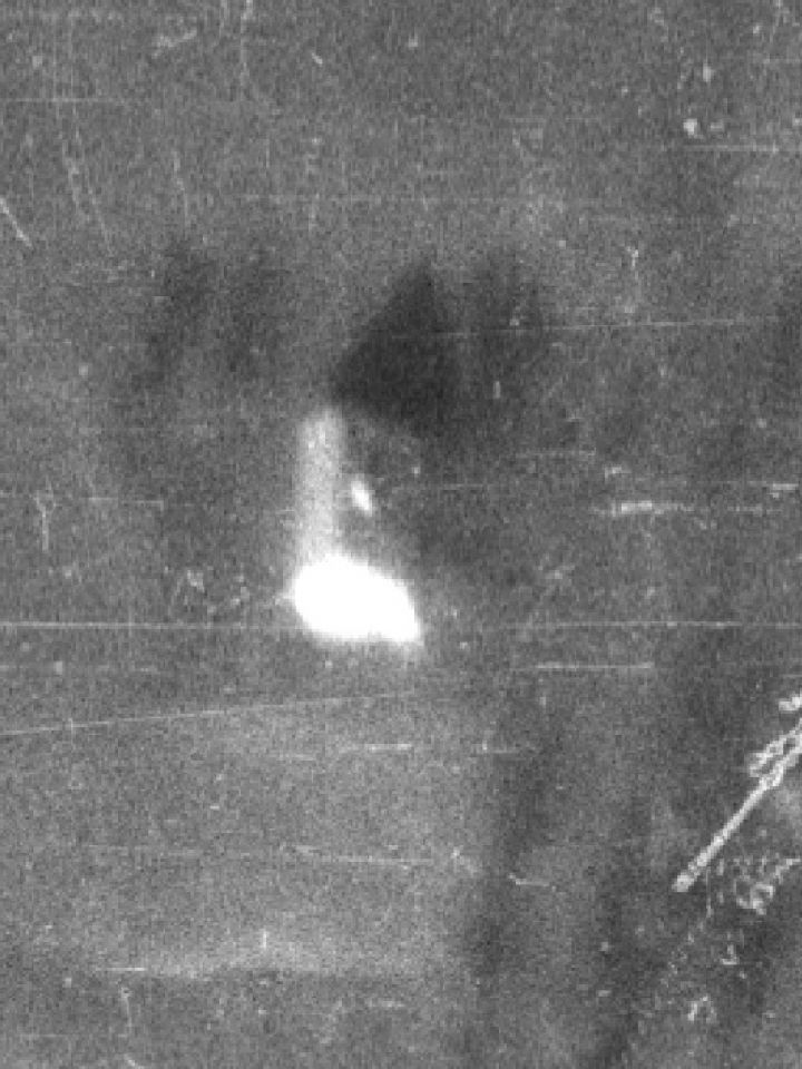 Felvétel a még ép présházról 1950-ből. Forrás: HM Zrínyi Térképészeti és Kommunikációs Szolgáltató Kft. Dörgicse, Becce-dűlő, 1950-62/109.