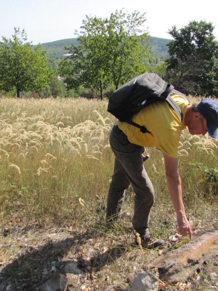 Célunk, hogy a területen minél pontosabban lokalizáljuk azt a helyet, ahonnan sírkövünk alapanyaga származhat. Ehhez a rendkívül sokszínű (szó szerint is értve) Csönge-hegyi vörös homokkő nagyon alapos terepmunkára támaszkodó, aprólékos átvizsgálása kell