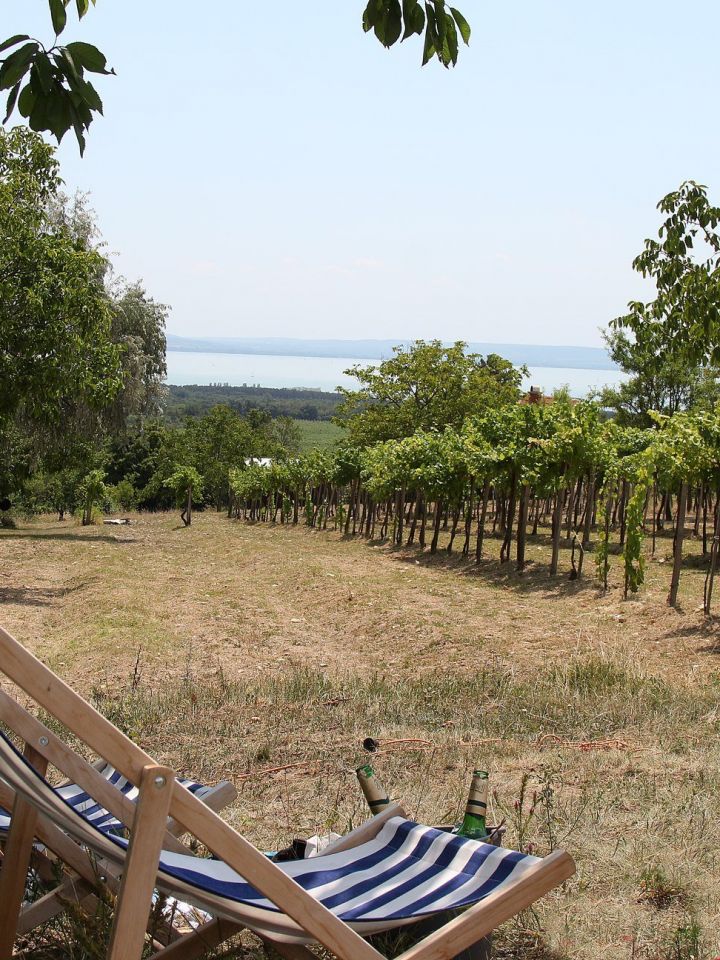 A BOR régészete... FOLYTATÁS! A szálak most Kékkútra vezettek.