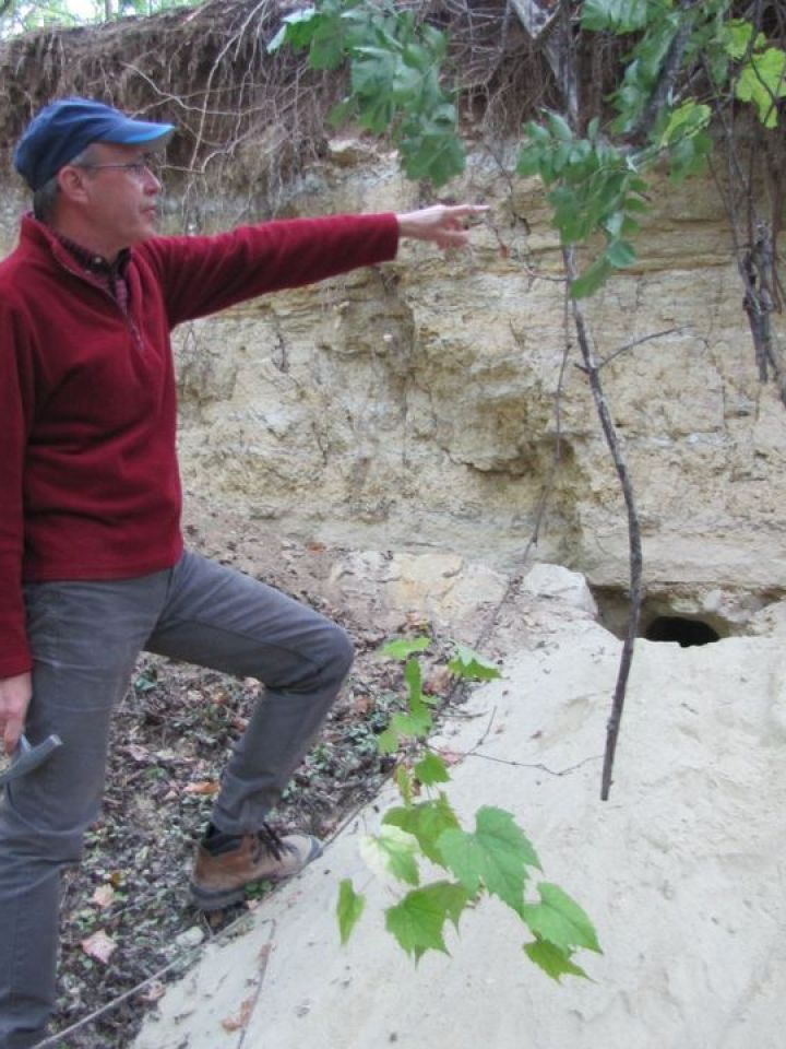 Dörgicsén egy felhagyott homokbányában is jártunk, méghozzá ott, ahol 1959-ben egy masztodon megkövesedett maradványaira bukkantak.
