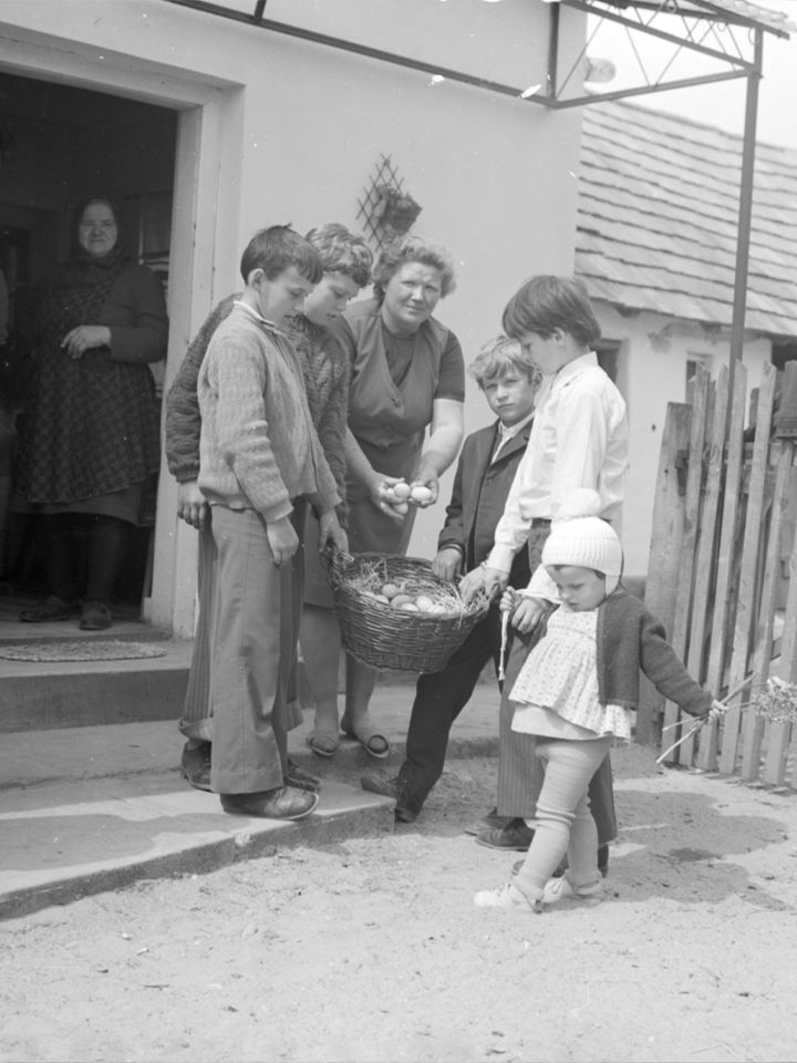A kereplésért kapott tojásadomány összegyűjtése. Hadnagy László felvétele, 1970-es évek.