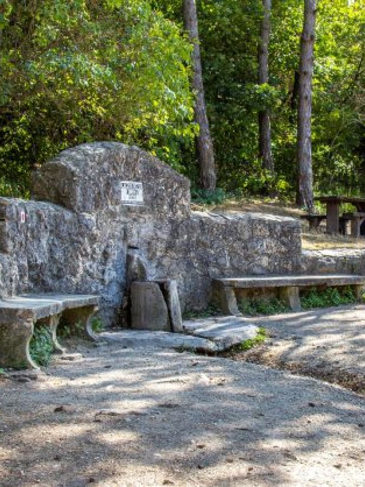 A Laczkó-forrás felavatása