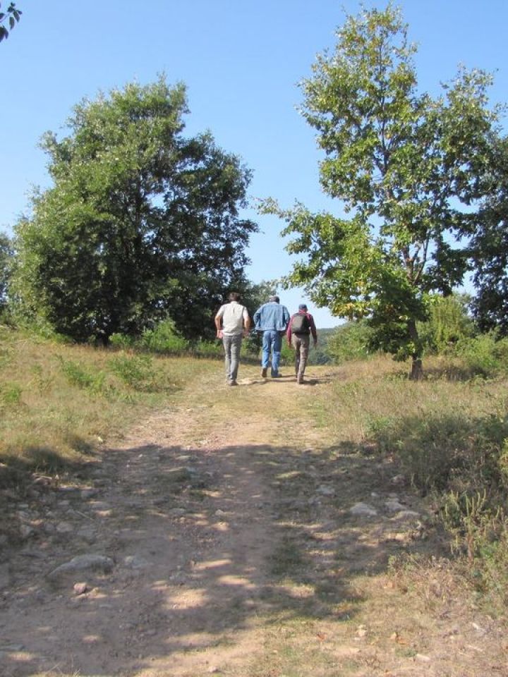 Fel a Csönge-hegyre!