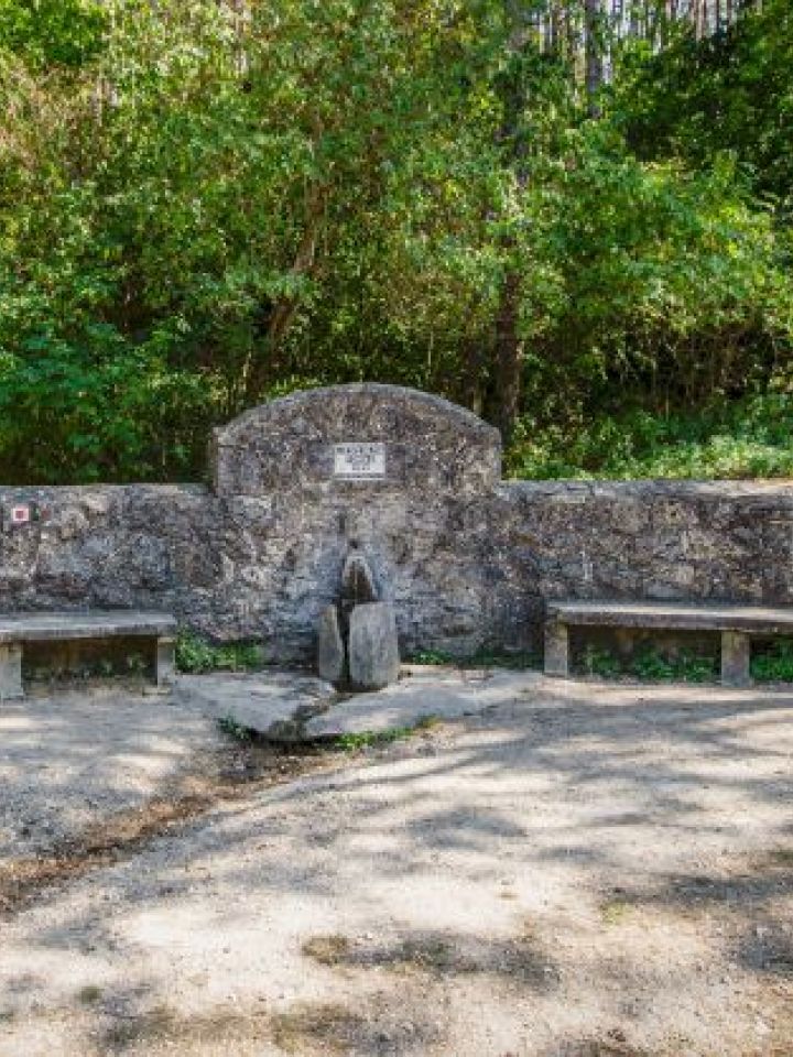 A Laczkó-forrás felavatása