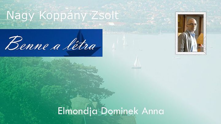 Nagykoppány Zsolt - Benne a létra