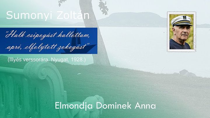 Sumonyi Zoltán - Halk csipogást hallottam