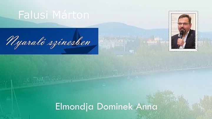 Falusi Márton - Nyaraló színesben